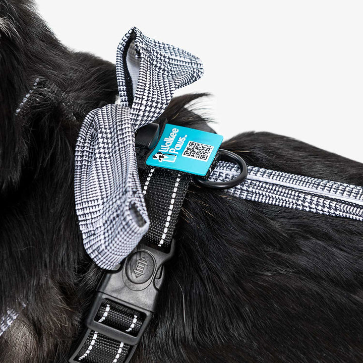 Leggings slip through harness for a comfy fit.