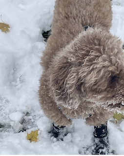 These are the boots that work