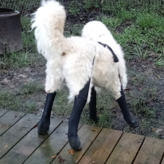 Best product money can buy