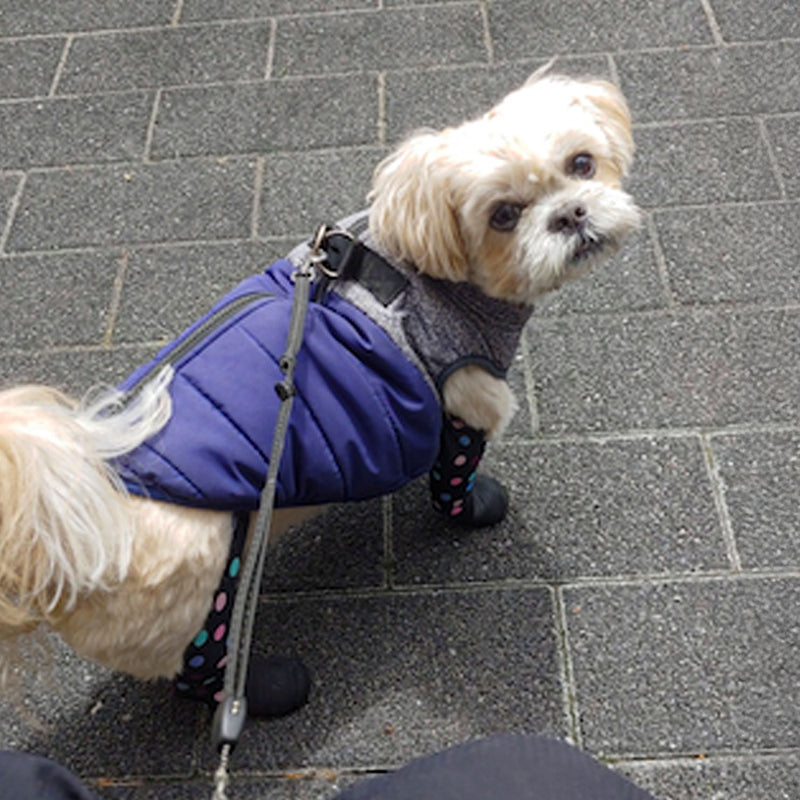 The best investment ever!...