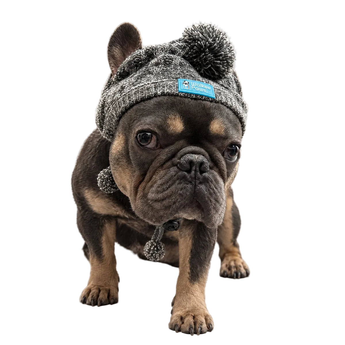 Cute Pom Pom Hat size M & L - [ꜰɪɴᴀʟ ꜱᴀʟᴇ]