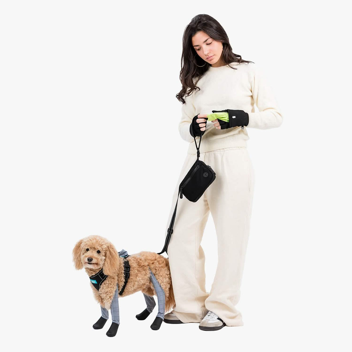 Walkee Paws creates worry-free walks.