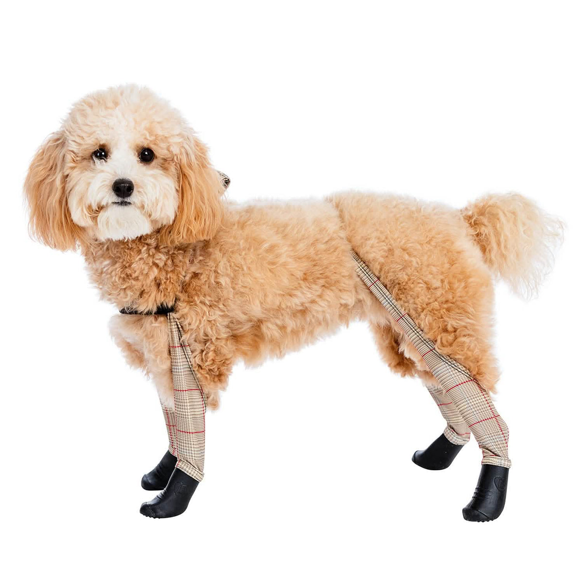 Deluxe Dog Boot Leggings