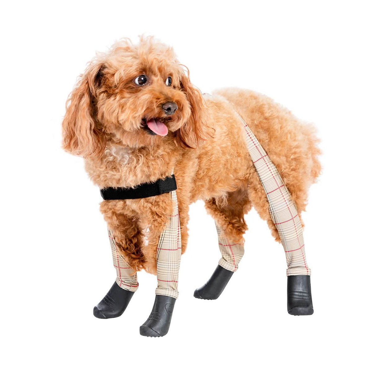 Deluxe Dog Boot Leggings