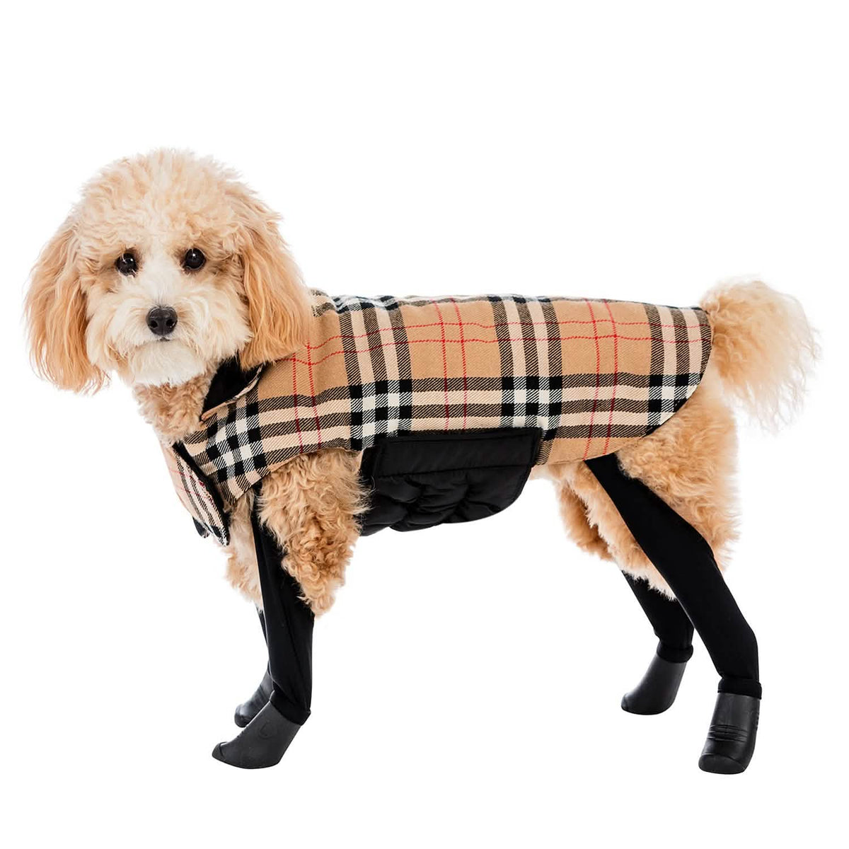 Reversible 2-in-1 Waterproof Dog Coat