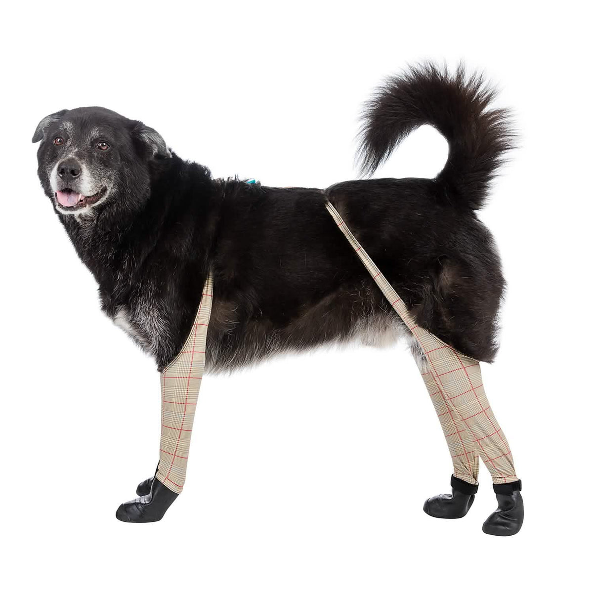 Deluxe Dog Boot Leggings