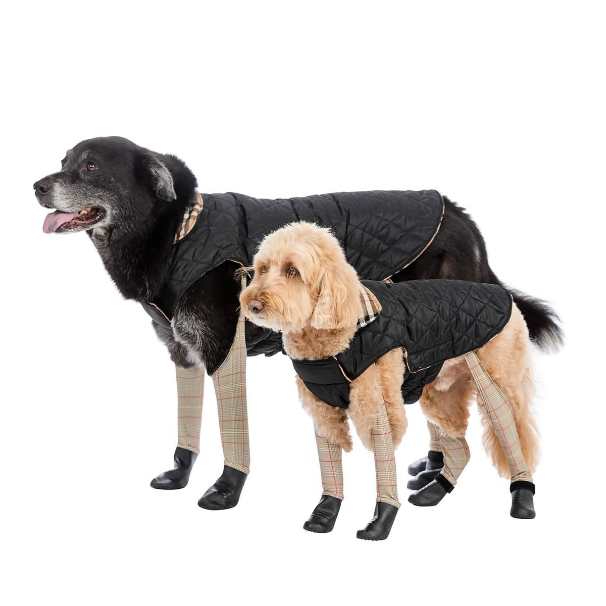 Reversible 2-in-1 Waterproof Dog Coat