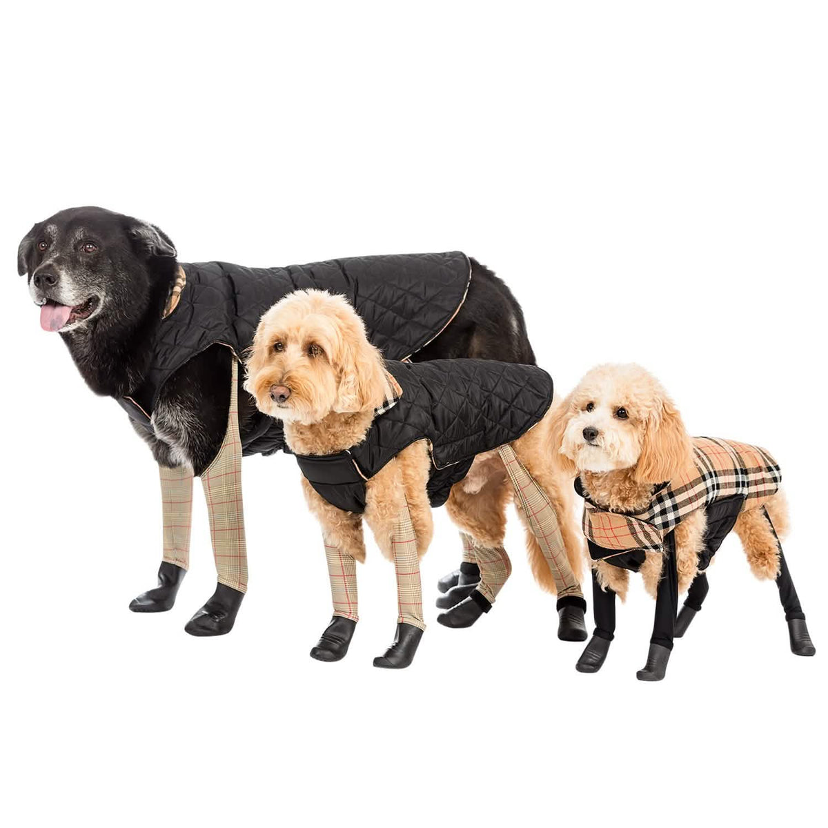 Reversible 2-in-1 Waterproof Dog Coat