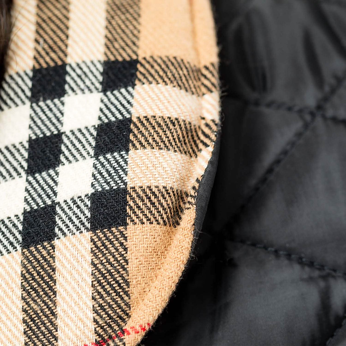 Reversible 2-in-1 Waterproof Dog Coat