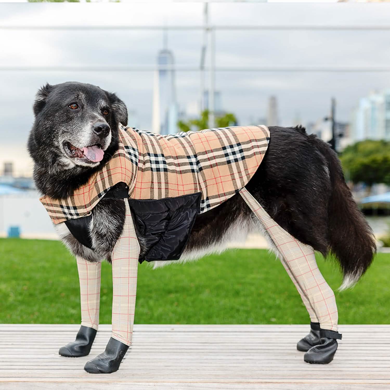 Dog Leash Burberry Dog Coat Jackets In A Trench Coat For Dogs