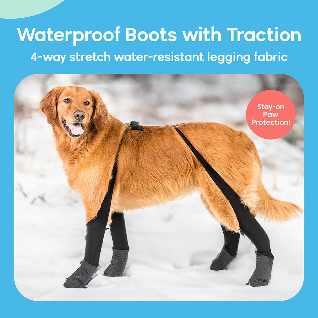 A dog wearing Walkee Paws dog shoes with waterproof boots and traction, attached to 4-way stretch water-resistant legging fabric, designed for stay-on paw protection. The image is set in a snowy outdoor environment.