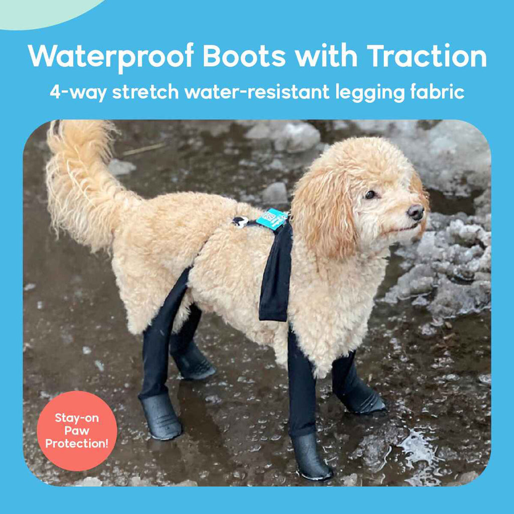 A dog wearing Walkee Paws dog shoes with waterproof boots and traction, attached to 4-way stretch water-resistant legging fabric, designed for stay-on paw protection. The image is set in a snowy outdoor environment.