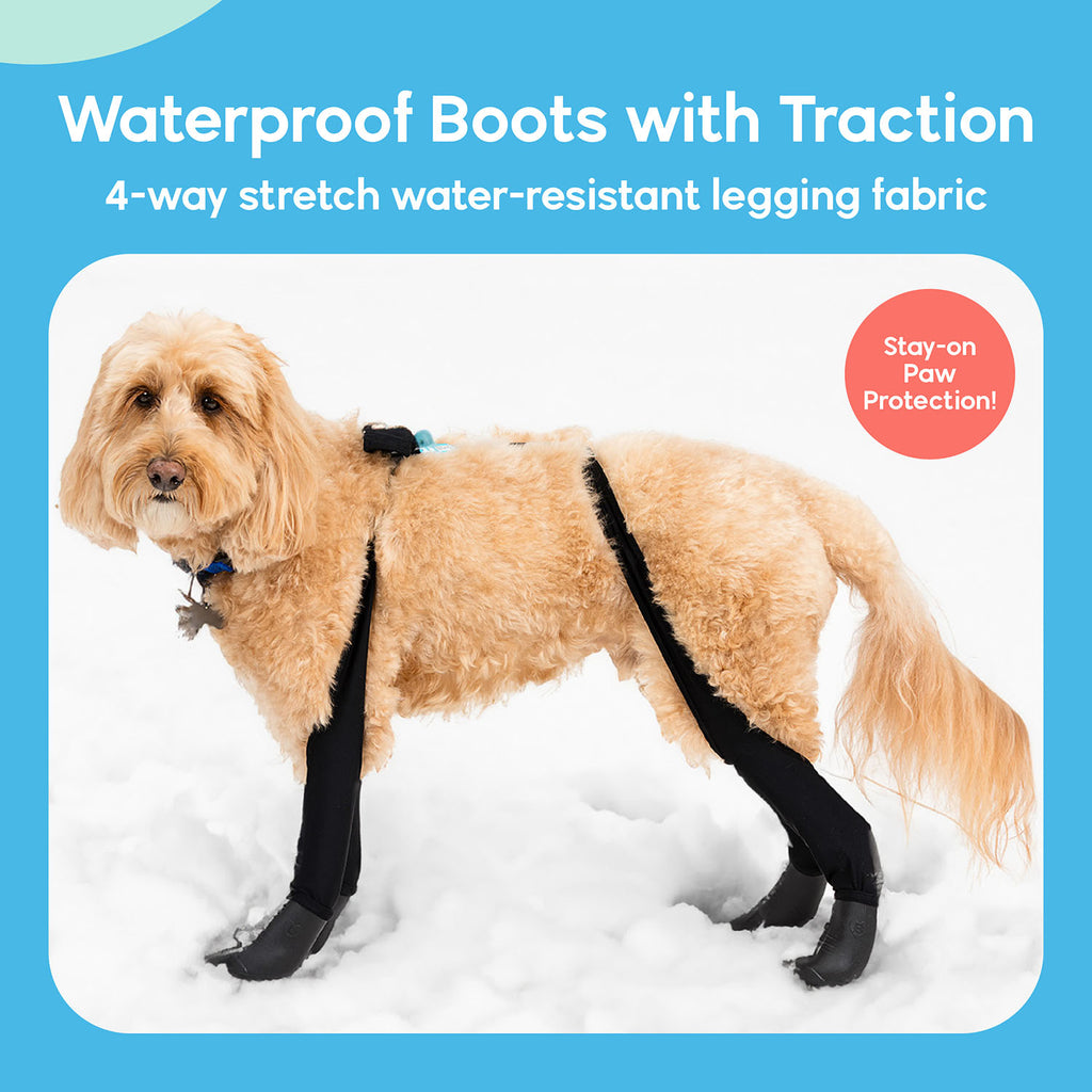 A dog wearing Walkee Paws dog shoes with waterproof boots and traction, attached to 4-way stretch water-resistant legging fabric, designed for stay-on paw protection. The image is set in a snowy outdoor environment.