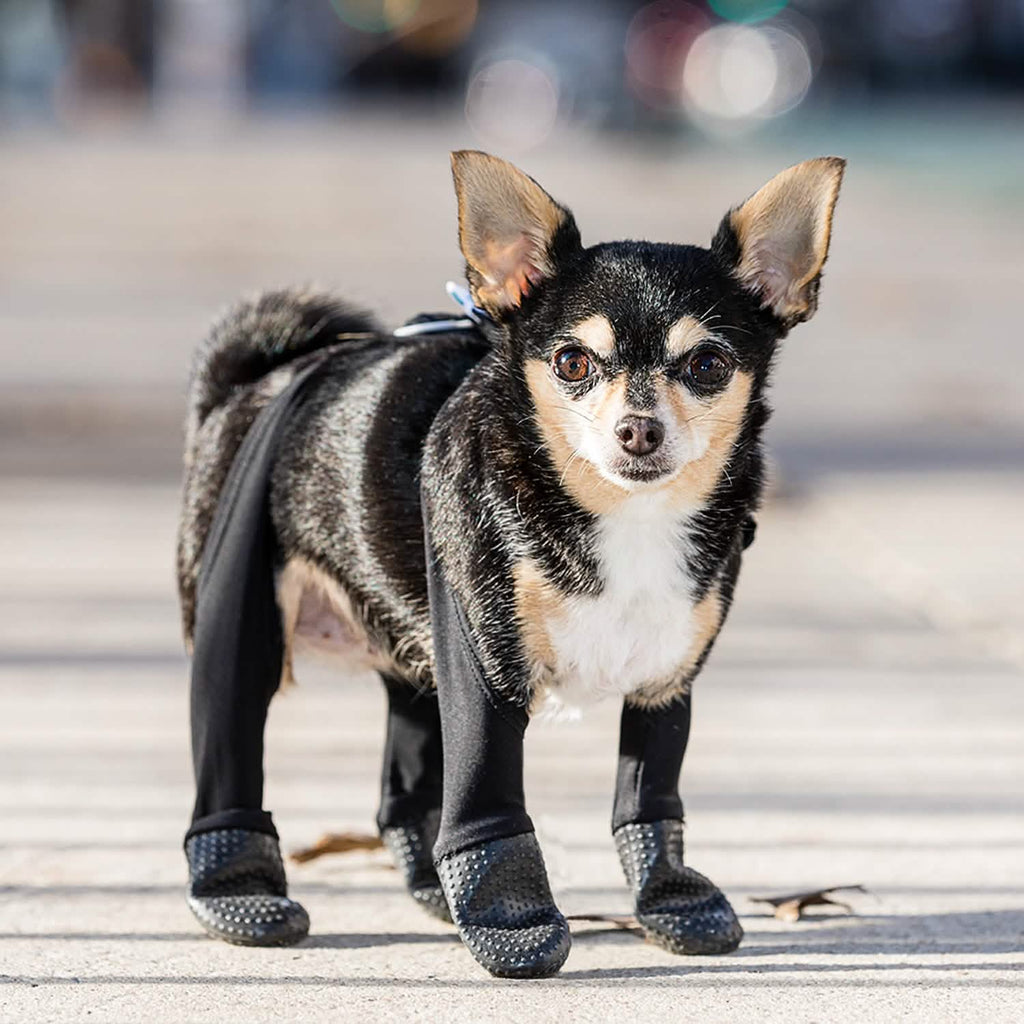 thumbnail image 2 of Dirt Proof Pants For Dogs Waterproof Dog Boots Leggings With Anti-Slip Soles - Adjustable Pet Paw Protectors For Outdoor Walking Dog Pants 2 of 13