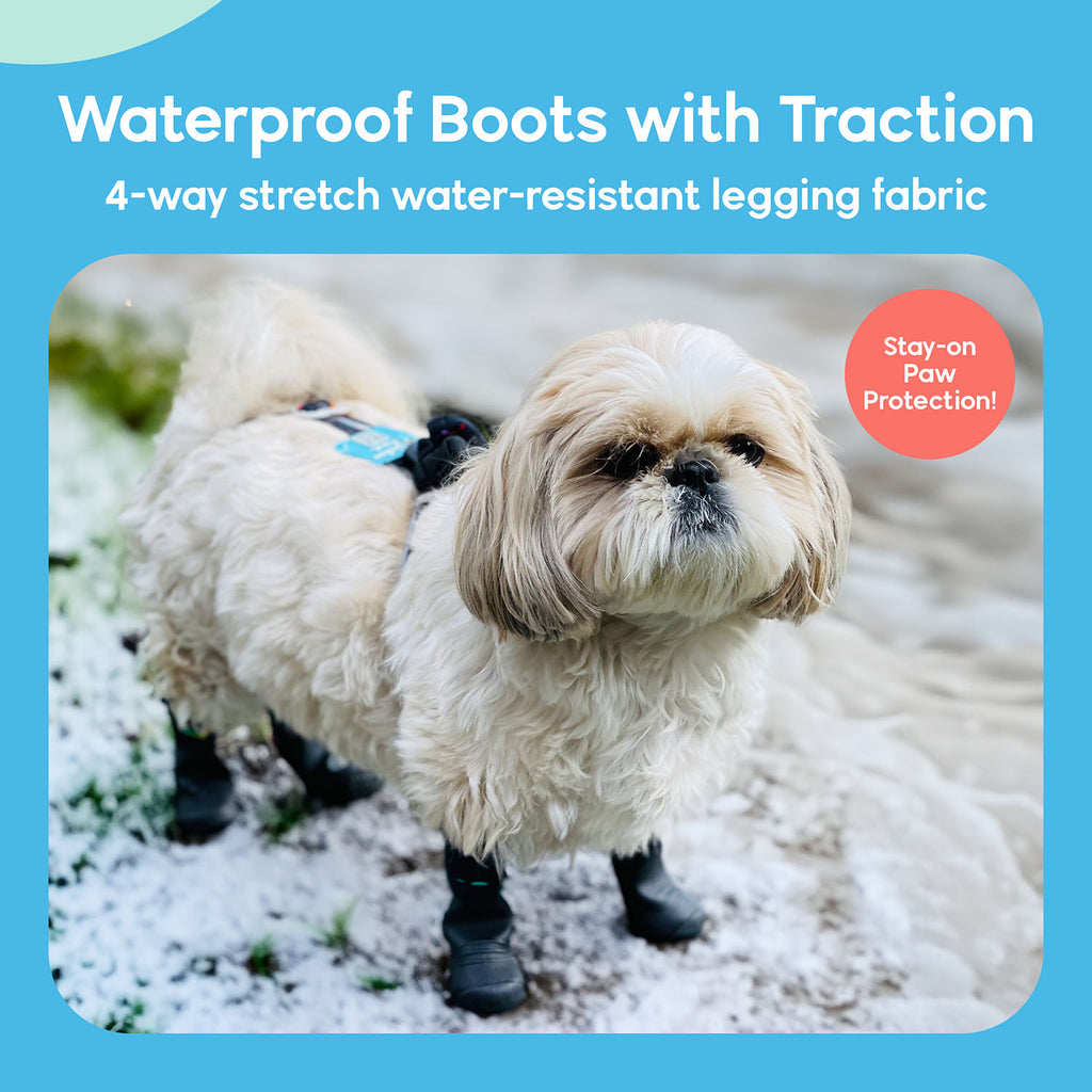 A dog wearing Walkee Paws dog shoes with waterproof boots and traction, attached to 4-way stretch water-resistant legging fabric, designed for stay-on paw protection. The image is set in a snowy outdoor environment.