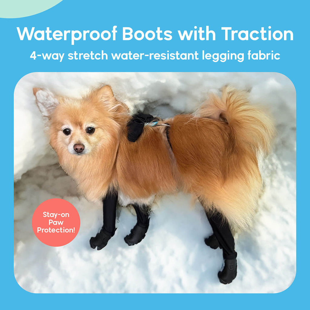 A dog wearing Walkee Paws dog shoes with waterproof boots and traction, attached to 4-way stretch water-resistant legging fabric, designed for stay-on paw protection. The image is set in a snowy outdoor environment.