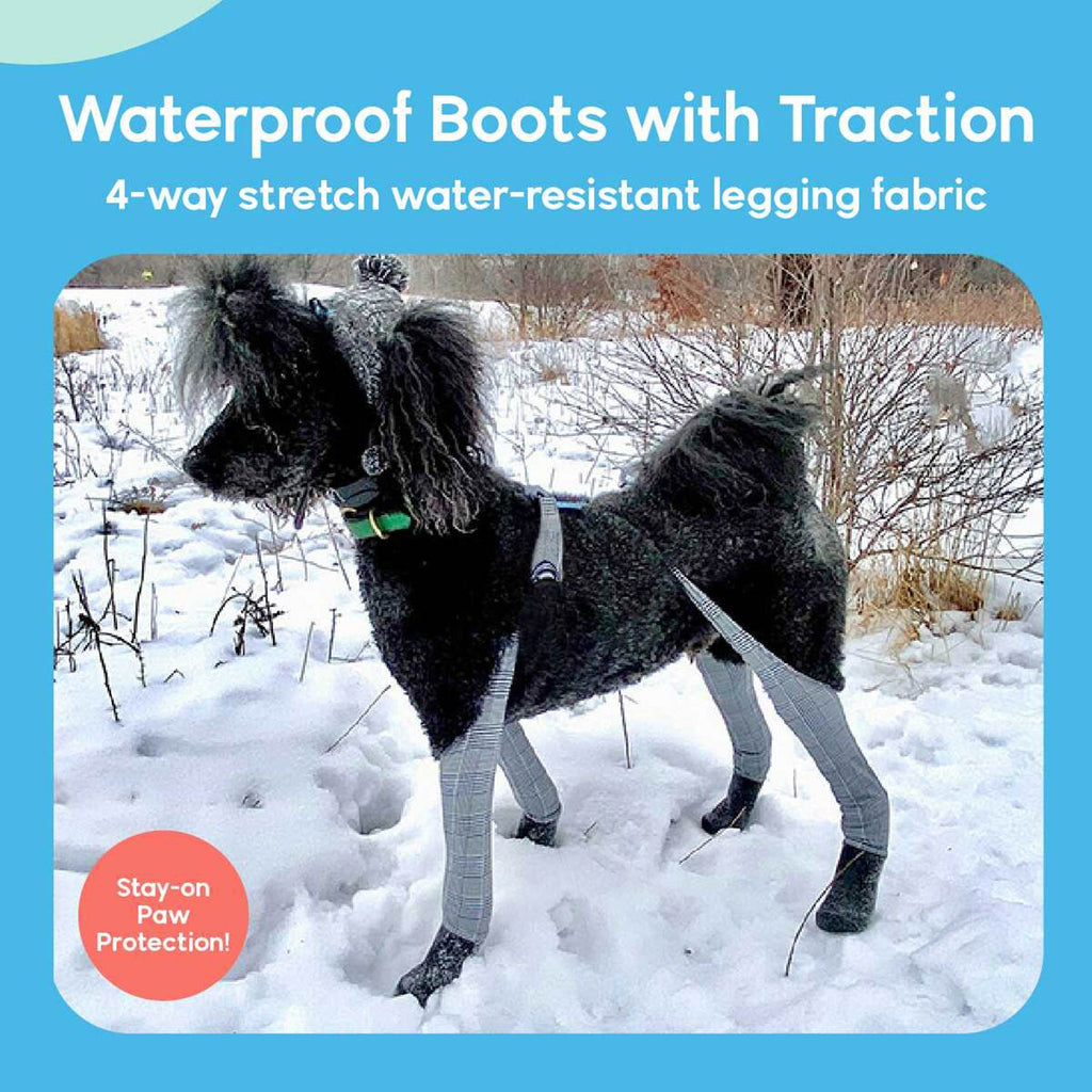 A dog wearing Walkee Paws dog shoes with waterproof boots and traction, attached to 4-way stretch water-resistant legging fabric, designed for stay-on paw protection. The image is set in a snowy outdoor environment.