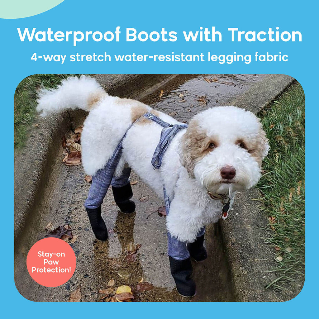 A dog wearing Walkee Paws dog shoes with waterproof boots and traction, attached to 4-way stretch water-resistant legging fabric, designed for stay-on paw protection. The image is set in a snowy outdoor environment.