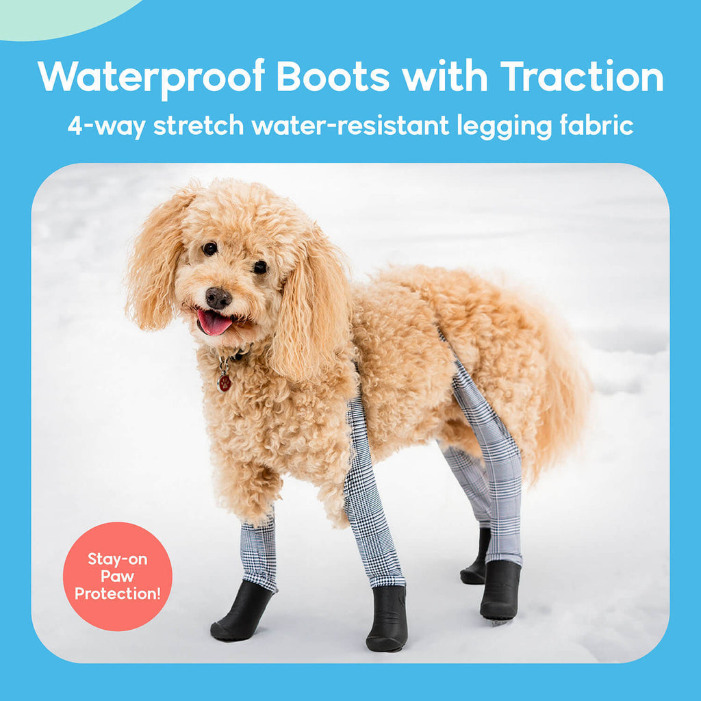 A dog wearing Walkee Paws dog shoes with waterproof boots and traction, attached to 4-way stretch water-resistant legging fabric, designed for stay-on paw protection. The image is set in a snowy outdoor environment.