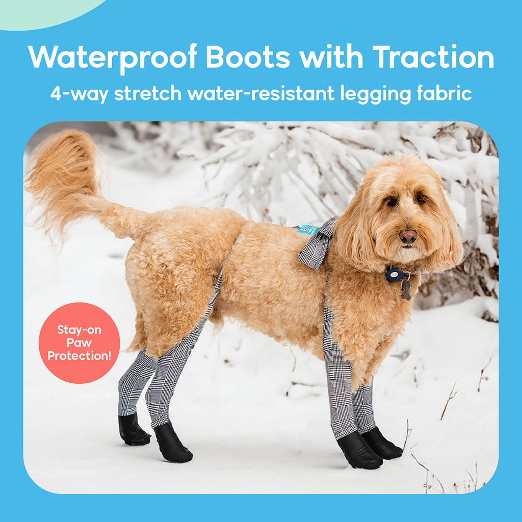 A dog wearing Walkee Paws dog shoes with waterproof boots and traction, attached to 4-way stretch water-resistant legging fabric, designed for stay-on paw protection. The image is set in a snowy outdoor environment.