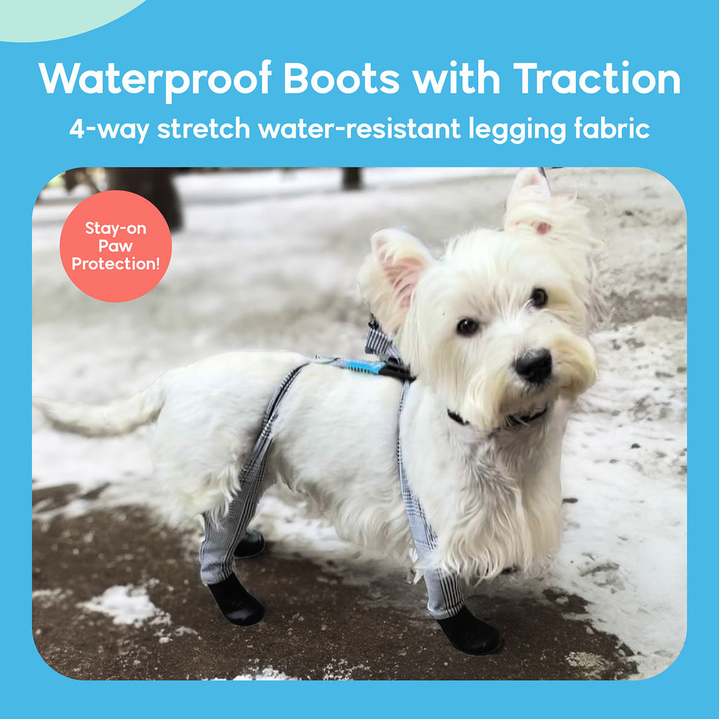 A dog wearing Walkee Paws dog shoes with waterproof boots and traction, attached to 4-way stretch water-resistant legging fabric, designed for stay-on paw protection. The image is set in a snowy outdoor environment.