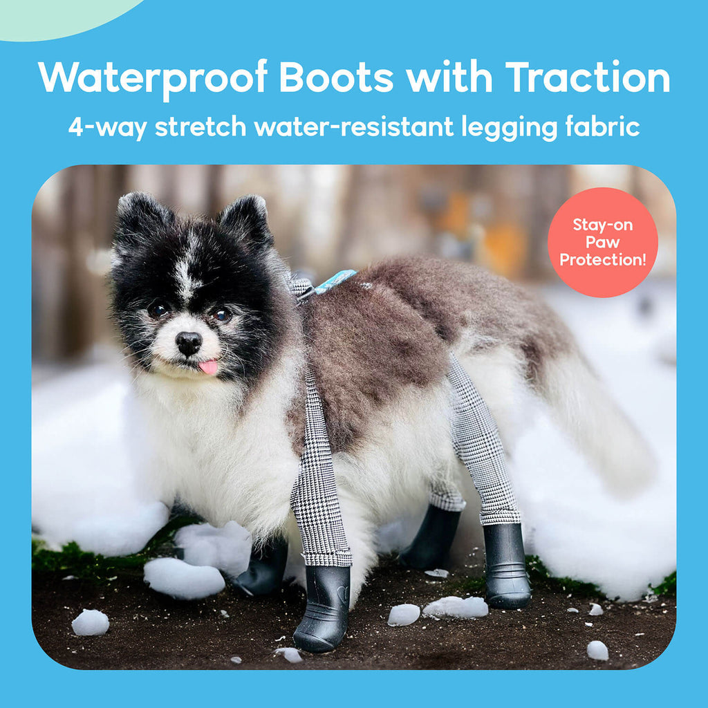 A dog wearing Walkee Paws dog shoes with waterproof boots and traction, attached to 4-way stretch water-resistant legging fabric, designed for stay-on paw protection. The image is set in a snowy outdoor environment.