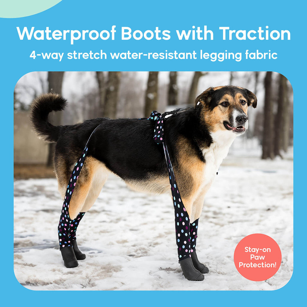 A dog wearing Walkee Paws dog shoes with waterproof boots and traction, attached to 4-way stretch water-resistant legging fabric, designed for stay-on paw protection. The image is set in a snowy outdoor environment.