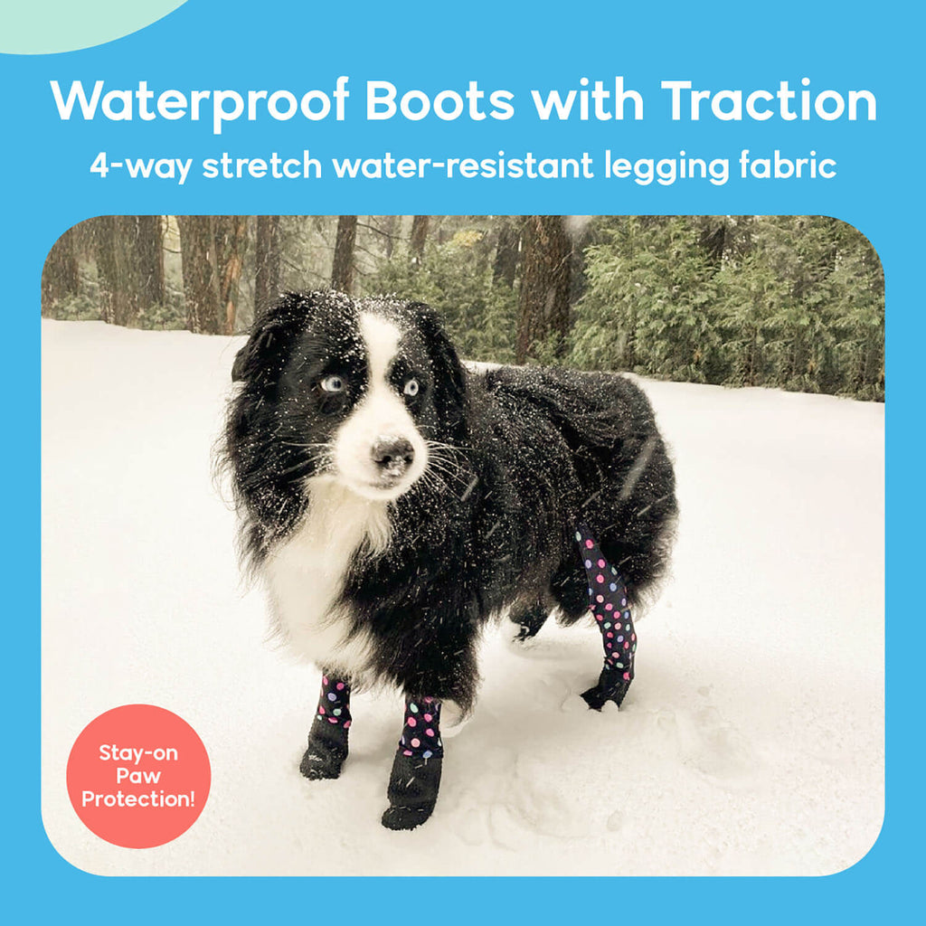 A dog wearing Walkee Paws dog shoes with waterproof boots and traction, attached to 4-way stretch water-resistant legging fabric, designed for stay-on paw protection. The image is set in a snowy outdoor environment.