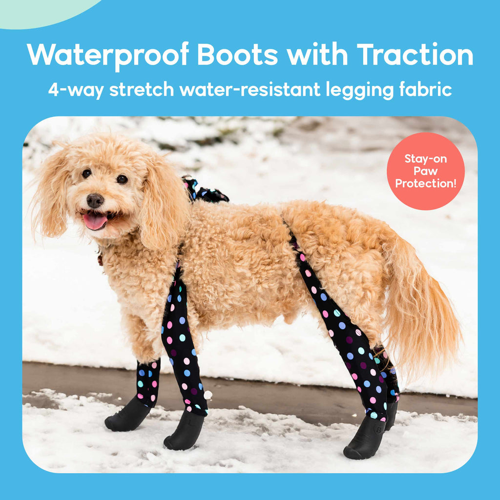 A dog wearing Walkee Paws dog shoes with waterproof boots and traction, attached to 4-way stretch water-resistant legging fabric, designed for stay-on paw protection. The image is set in a snowy outdoor environment.