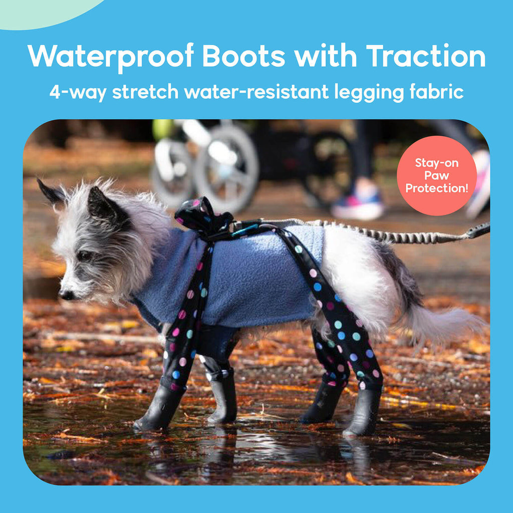 A dog wearing Walkee Paws dog shoes with waterproof boots and traction, attached to 4-way stretch water-resistant legging fabric, designed for stay-on paw protection. The image is set in a rainny outdoor environment.