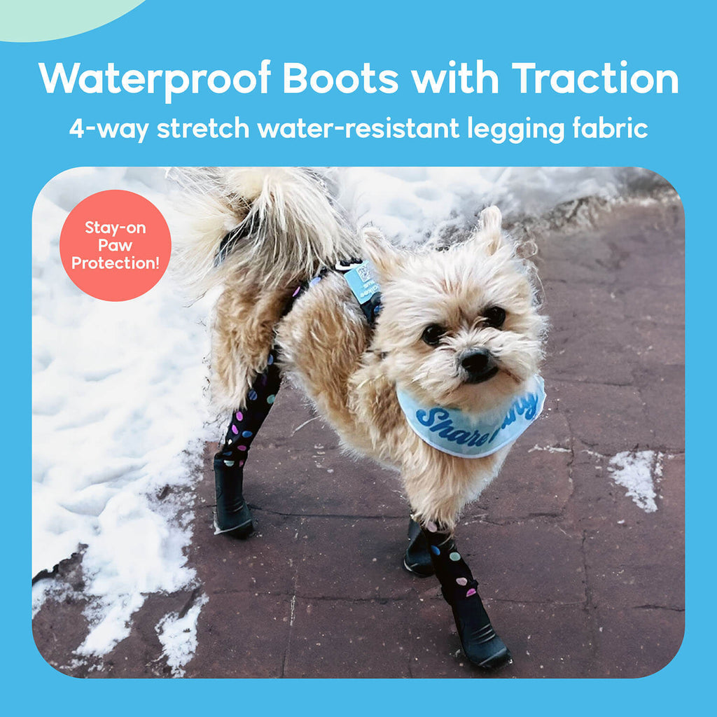 A dog wearing Walkee Paws dog shoes with waterproof boots and traction, attached to 4-way stretch water-resistant legging fabric, designed for stay-on paw protection. The image is set in a snowy outdoor environment.