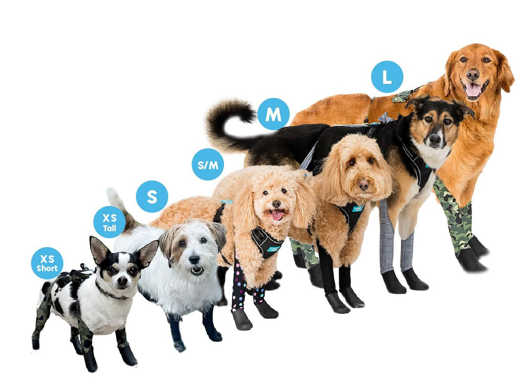Walkee Paws Size Chart Product Sizing Guide for Your Dog