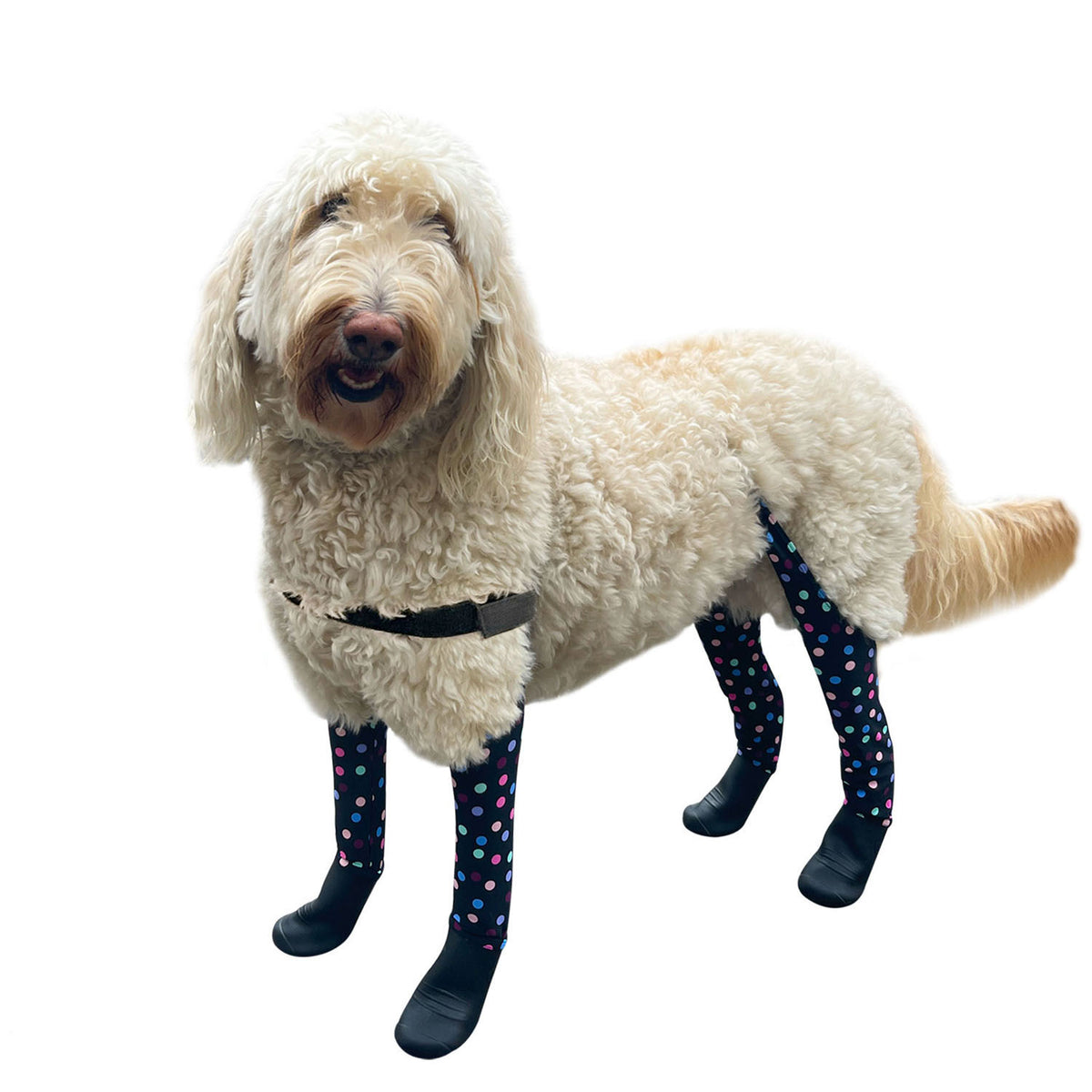 Deluxe Dog Boot Leggings