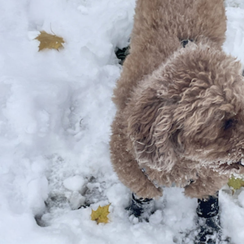 These are the boots that work