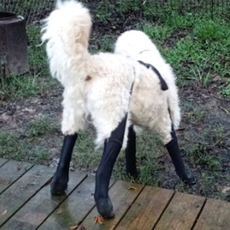 Best product money can buy