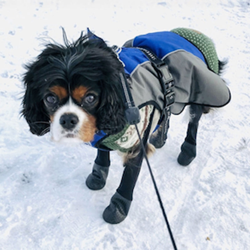 Perfect to protect from winter salt