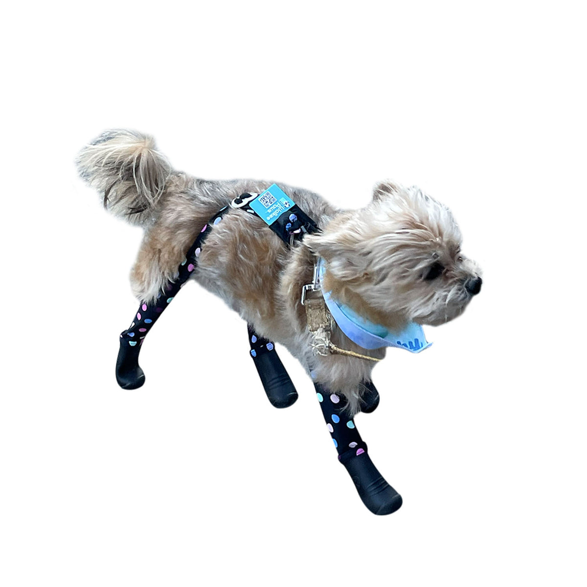 Deluxe Dog Boot Leggings