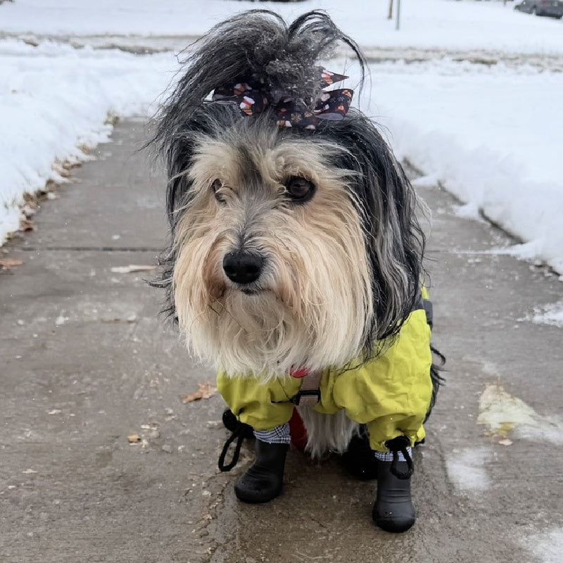 A new happy customer; wearing snowsuit over her leggings!