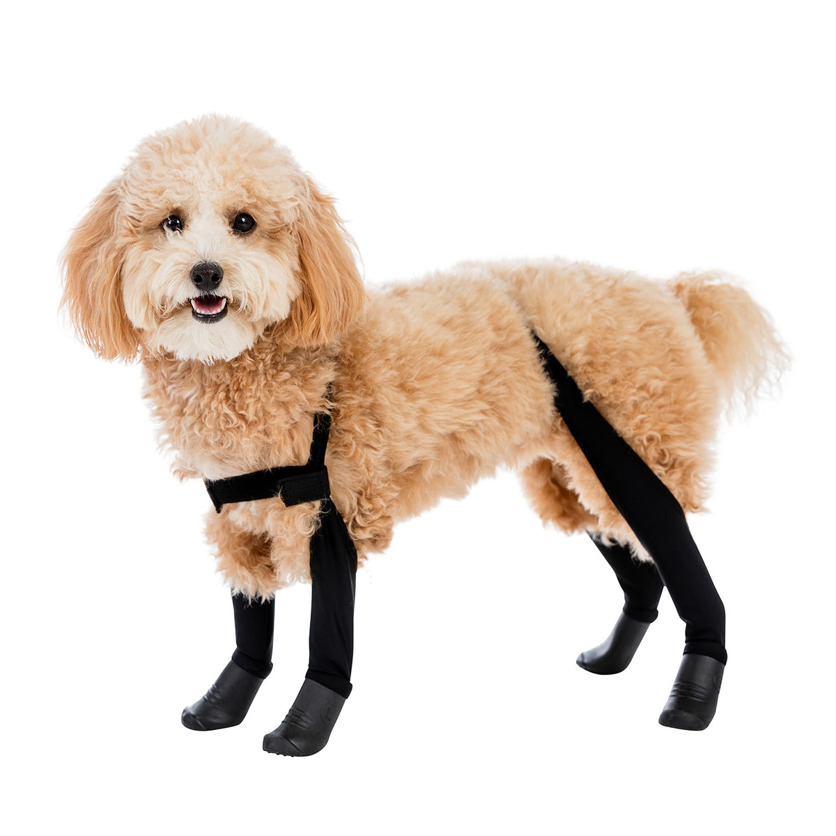Deluxe Dog Boot Leggings