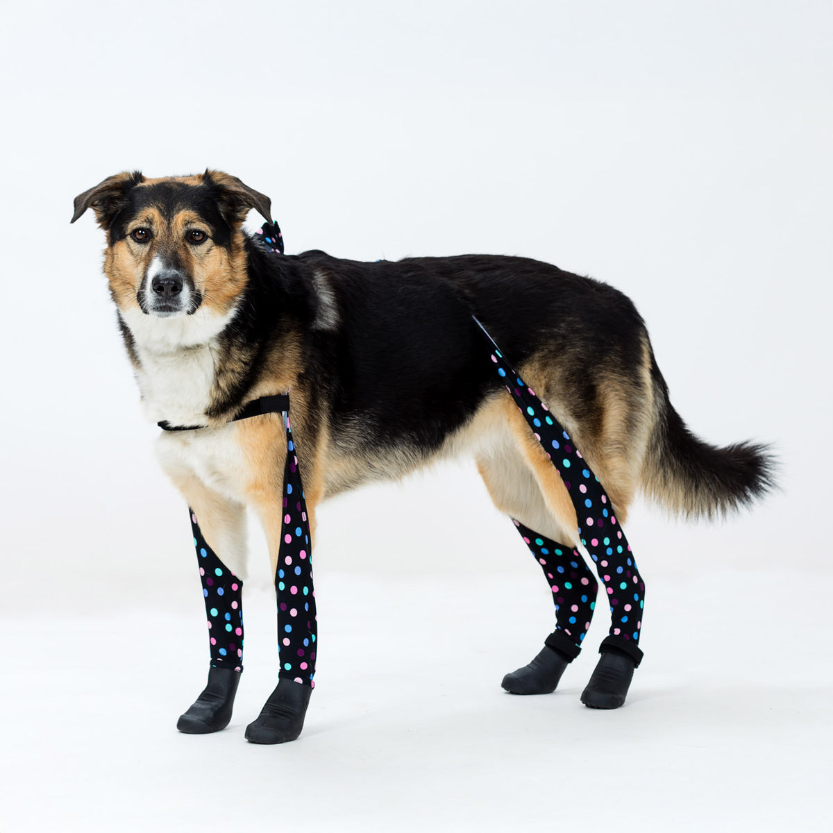 Deluxe Dog Boot Leggings