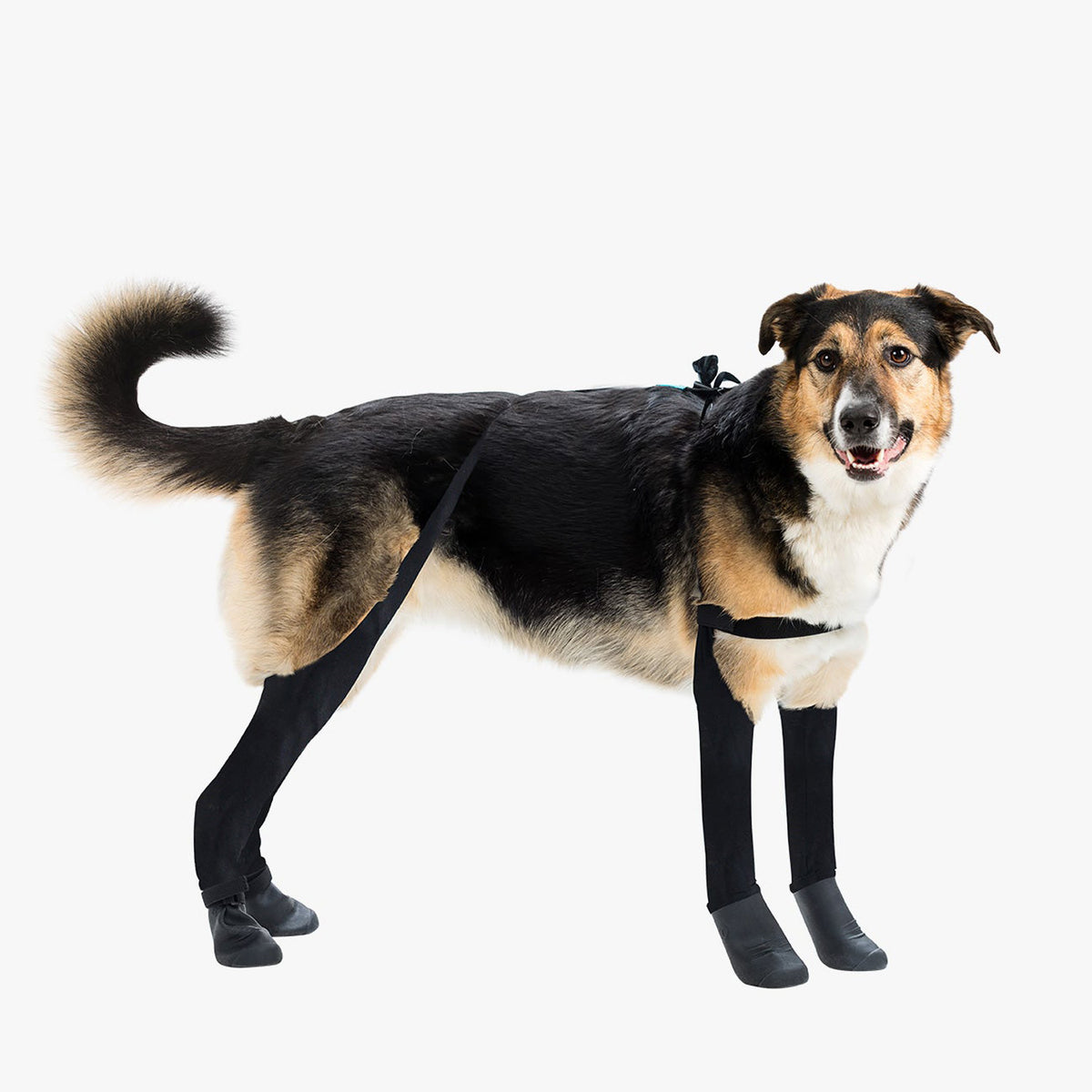 Deluxe Dog Boot Leggings