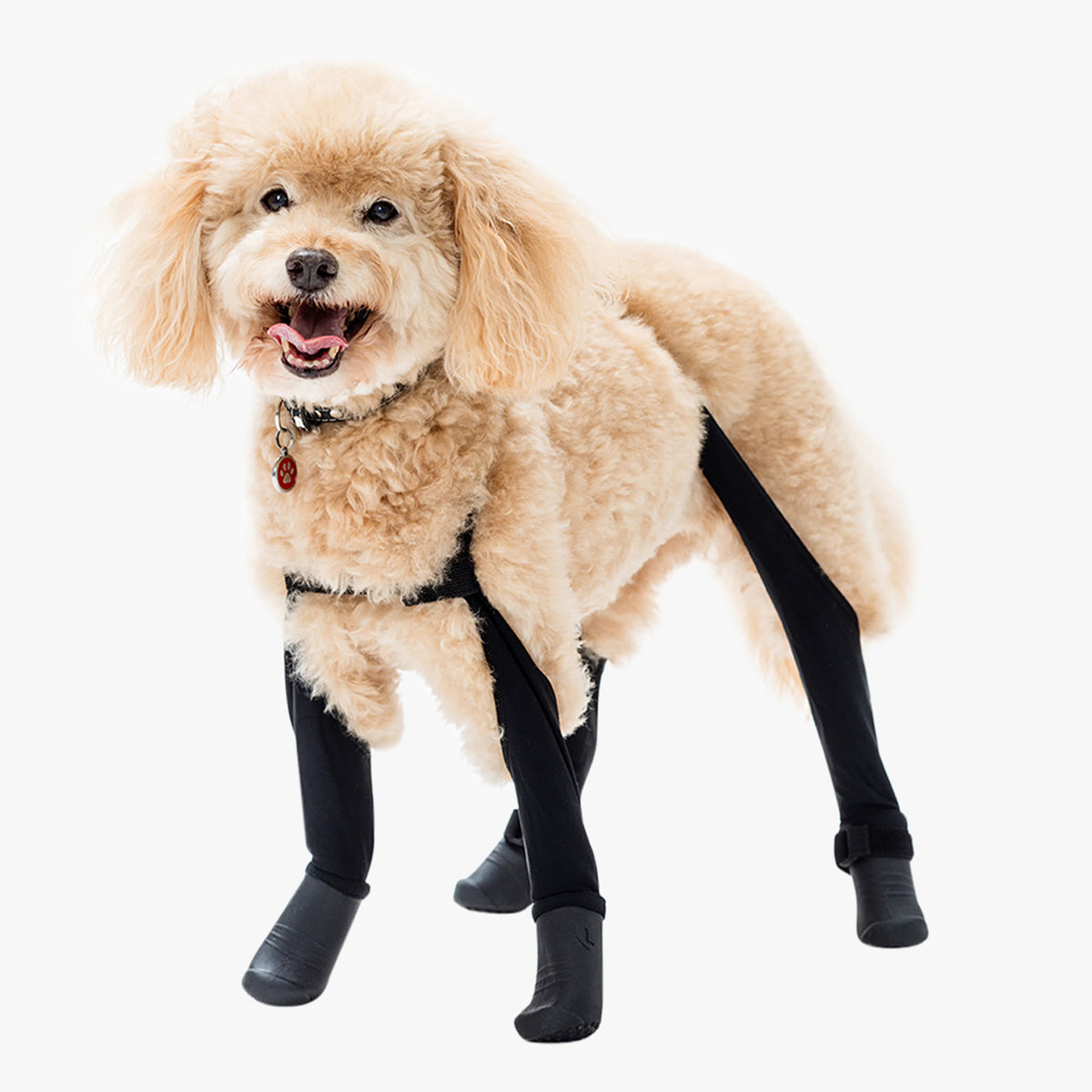 Deluxe Dog Boot Leggings