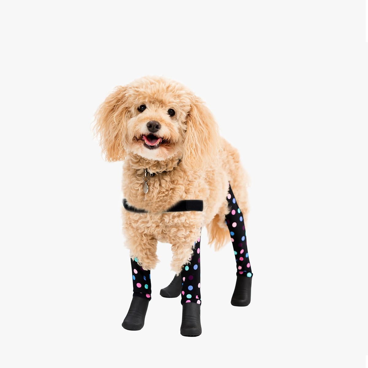 Deluxe Dog Boot Leggings