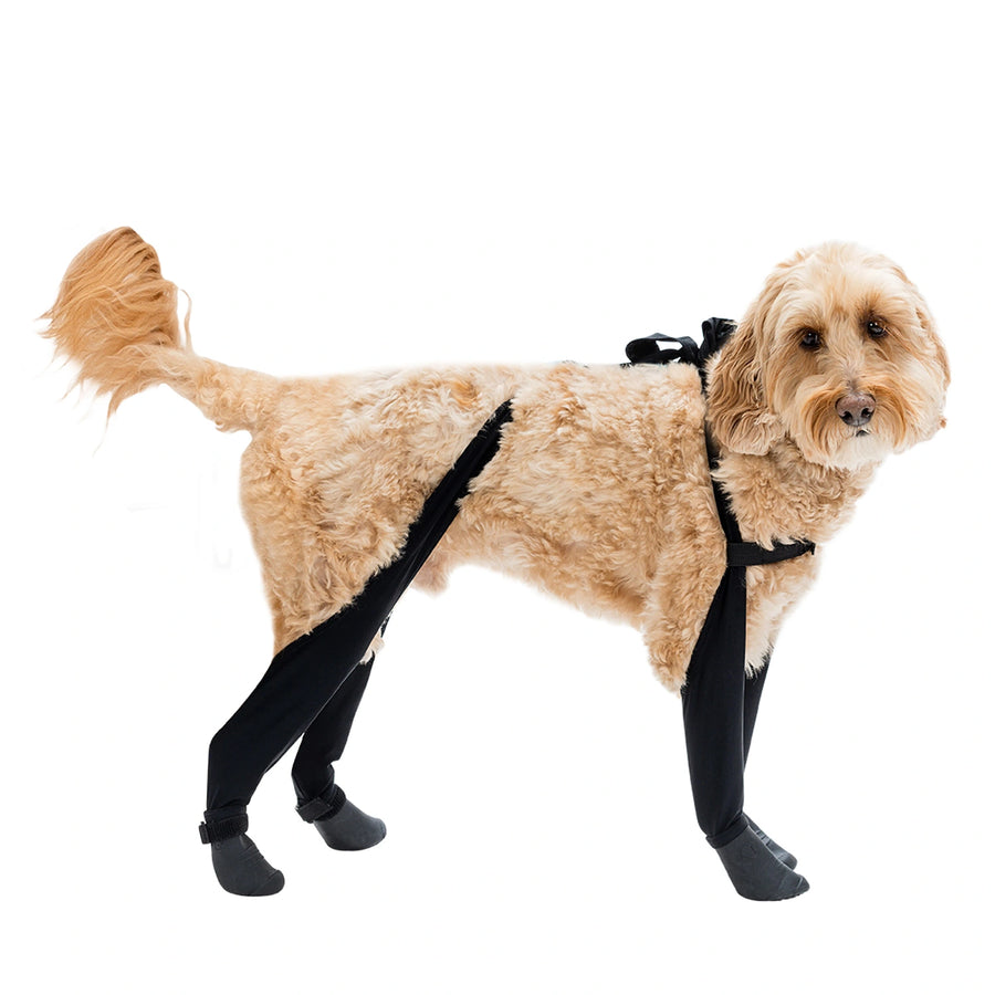 dog boots leggings waterproof small medium black walkeepaws