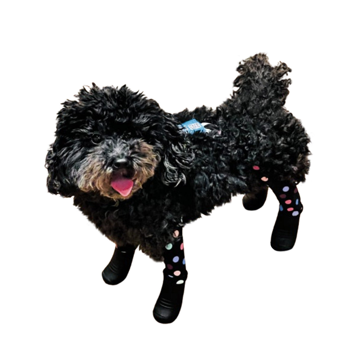 Deluxe Dog Boot Leggings