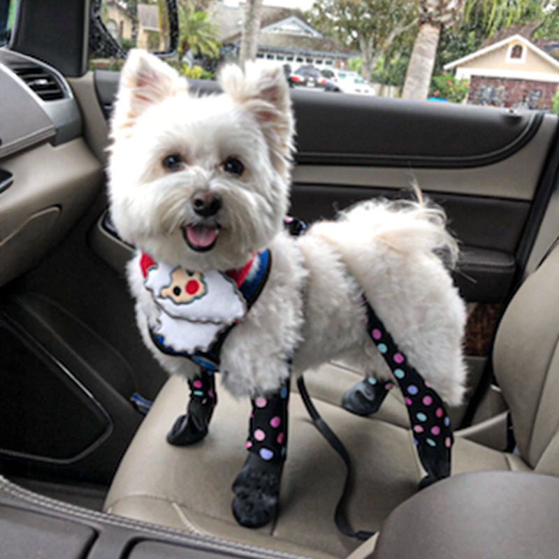 Absolutely love them!