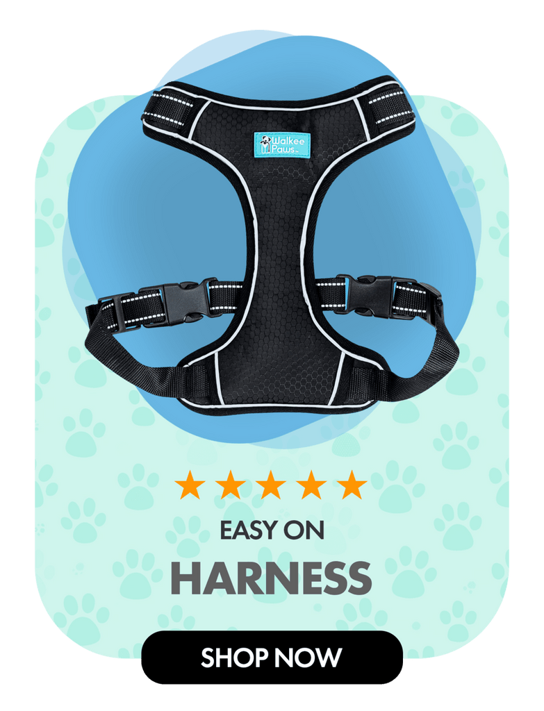 GetUSCart- Walkee Paws Adjustable Fit Dog Leggings, As Seen on Shark Tank,  The World?s First Dog Leggings That are Dog Shoes (Black, S)