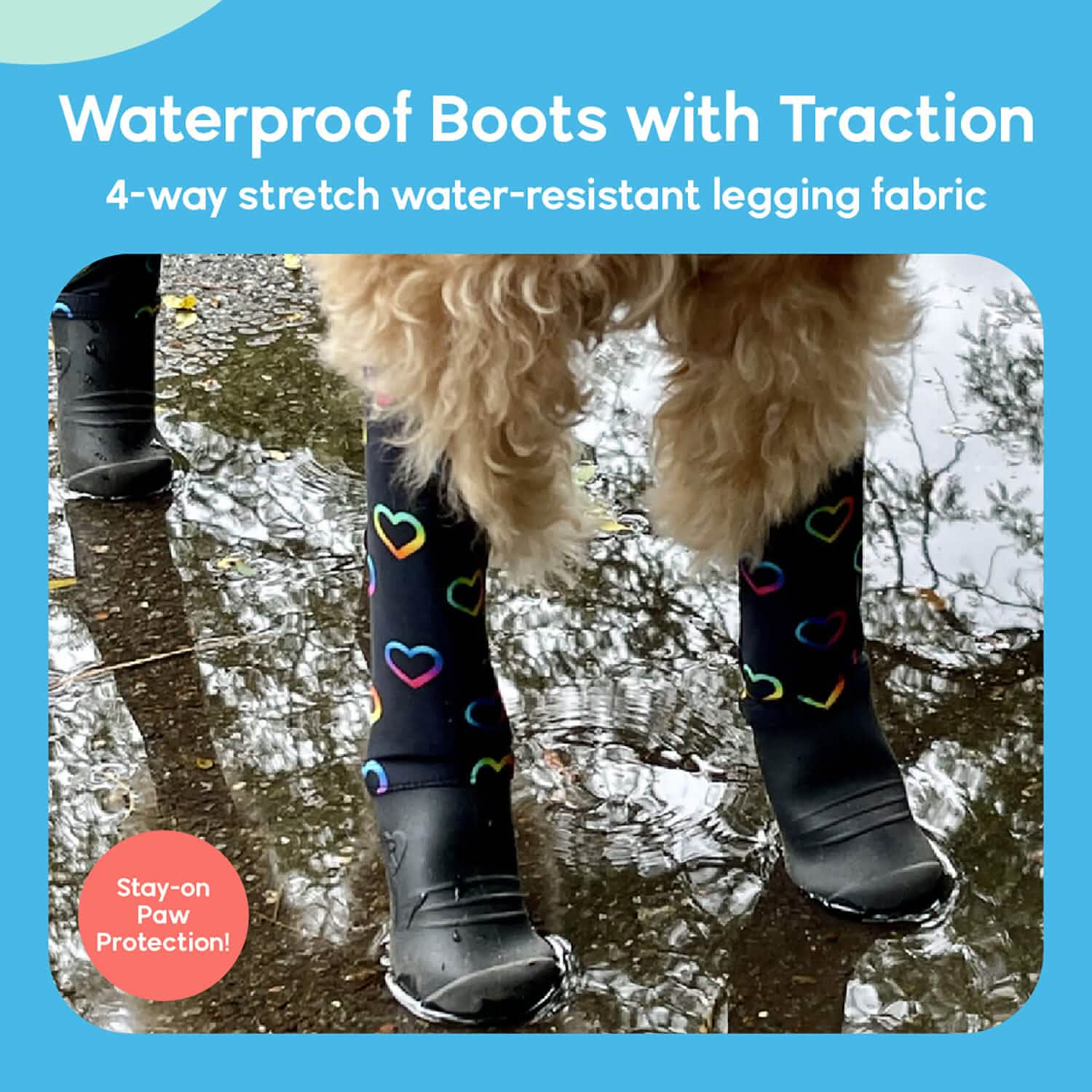 Dog Suspenders Boots Fashion Sale | Walkee Paws