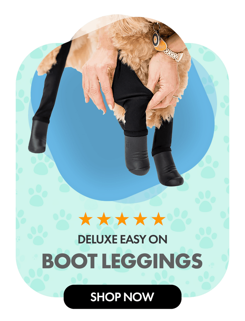 DIY Dog Leggings 