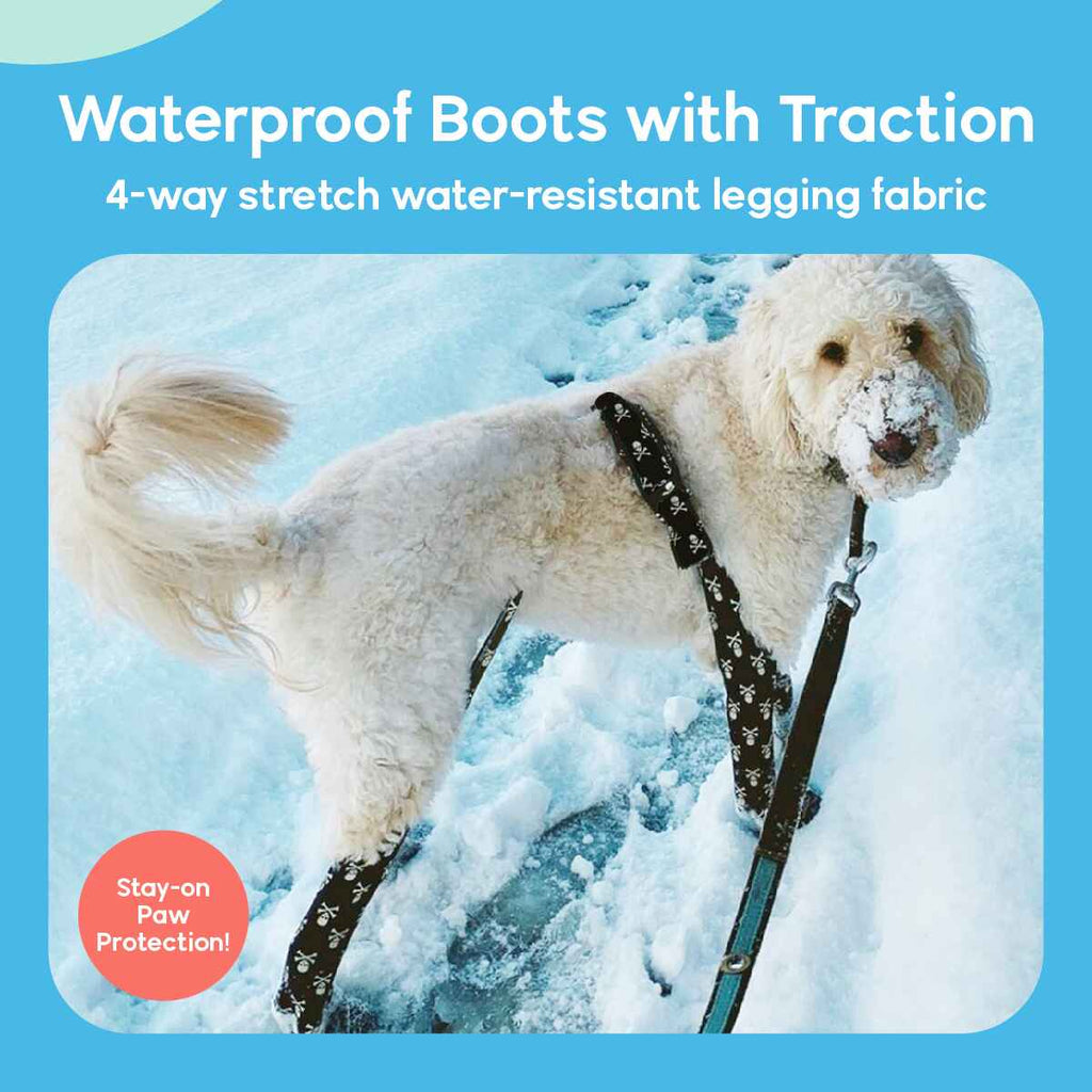 A dog wearing Walkee Paws dog shoes with waterproof boots and traction, attached to 4-way stretch water-resistant legging fabric, designed for stay-on paw protection. The image is set in a snowy outdoor environment.